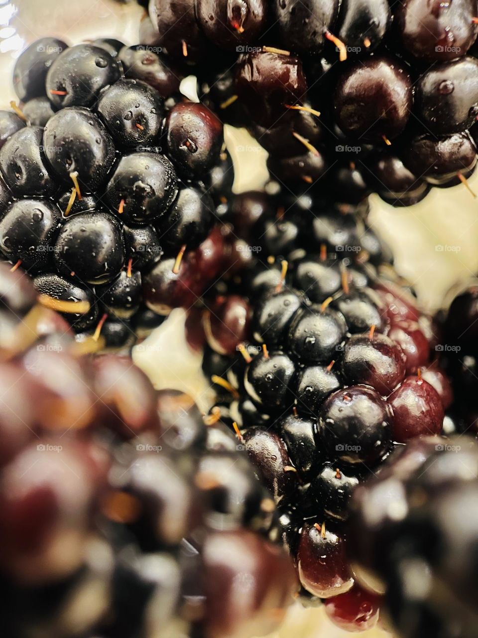 Blackberries with Macro shot 2