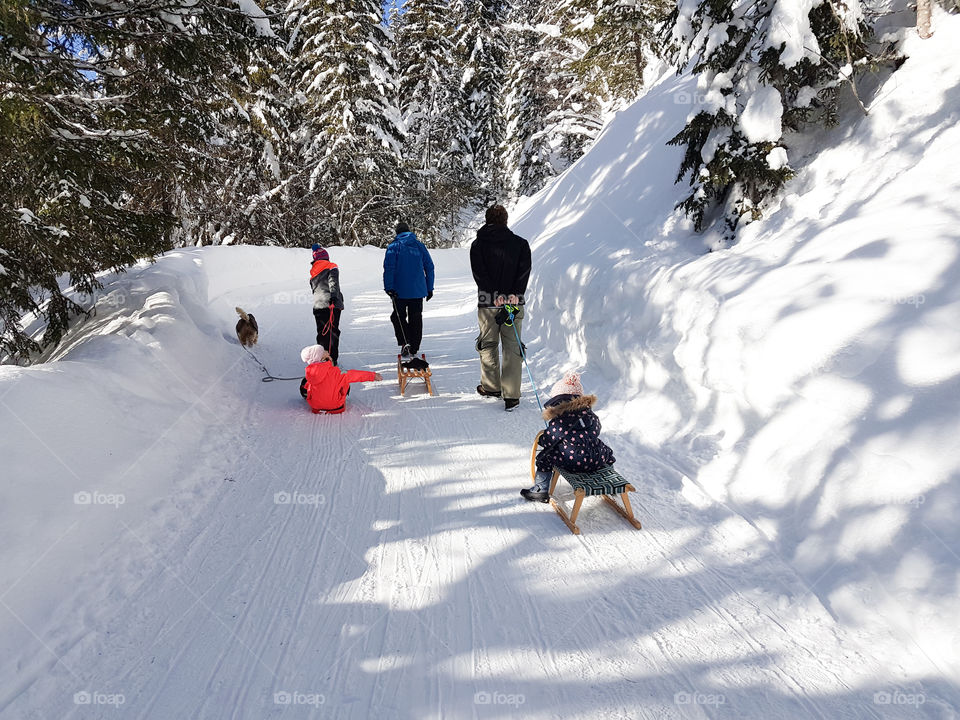 kids and two men with sledges in the snow in the mountains