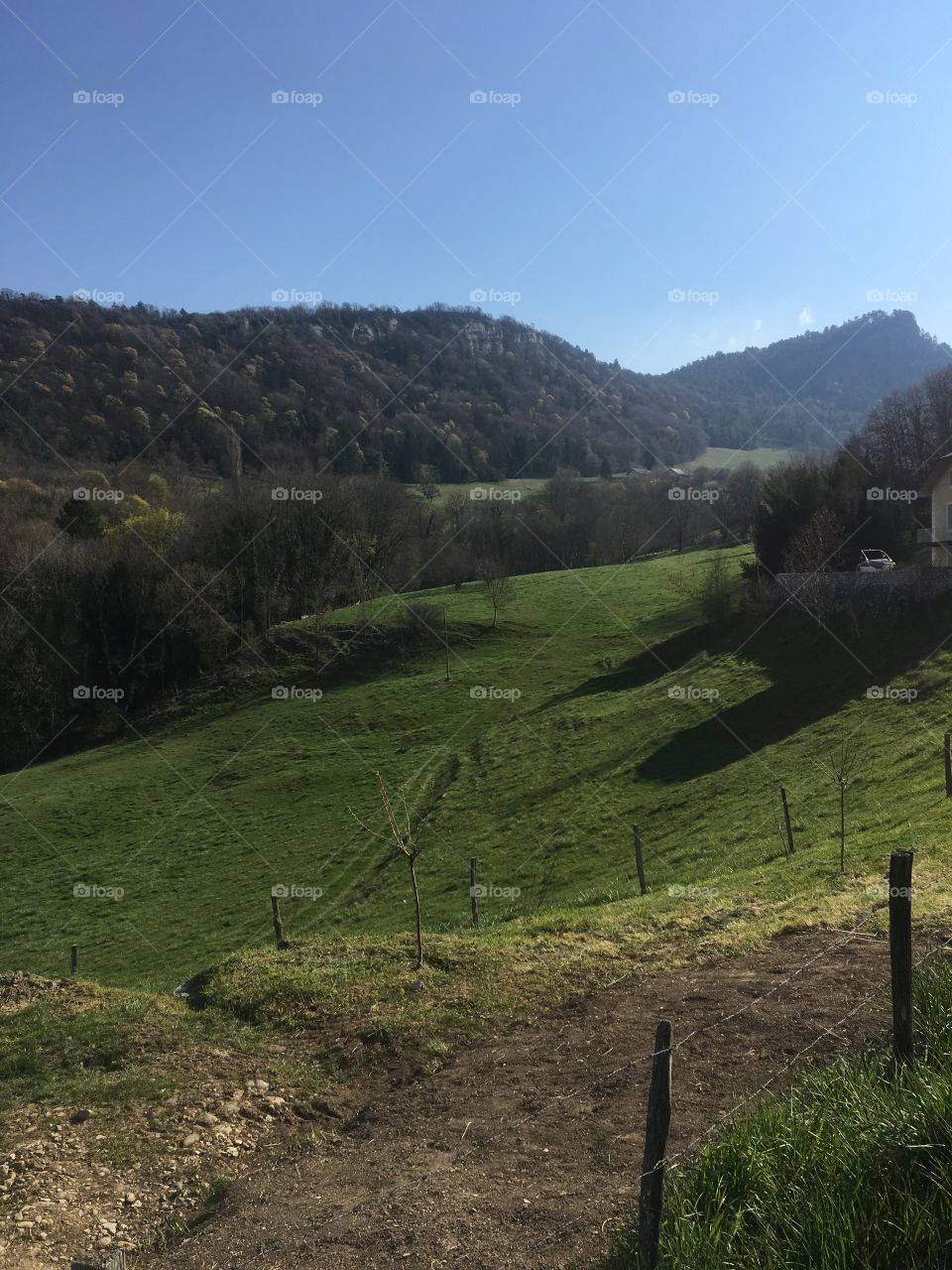 Countryside in spring