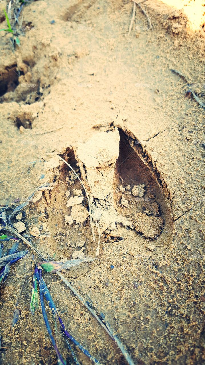 Sand, Beach, No Person, Nature, Seashore