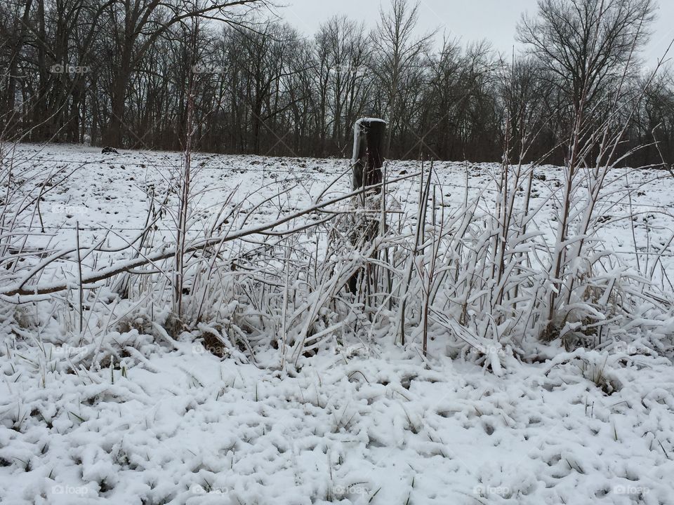 Snowy fence post