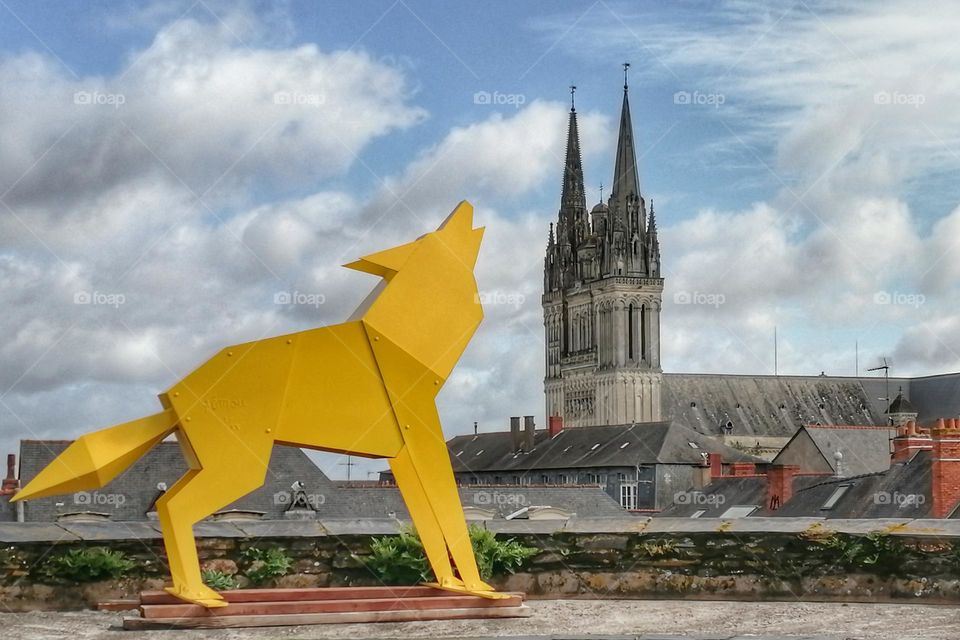 Wolf and church at Angers