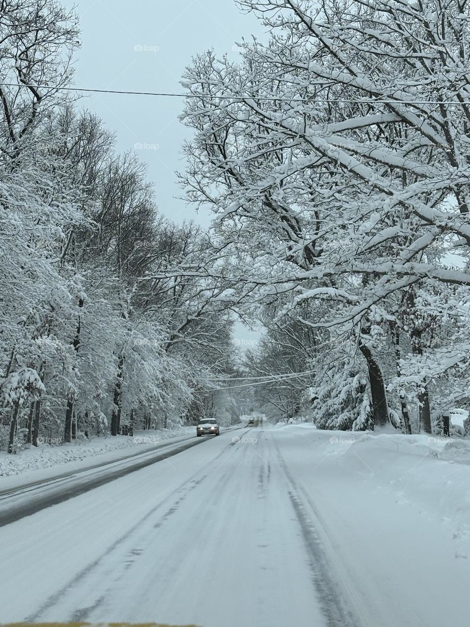 Snowy Roadway