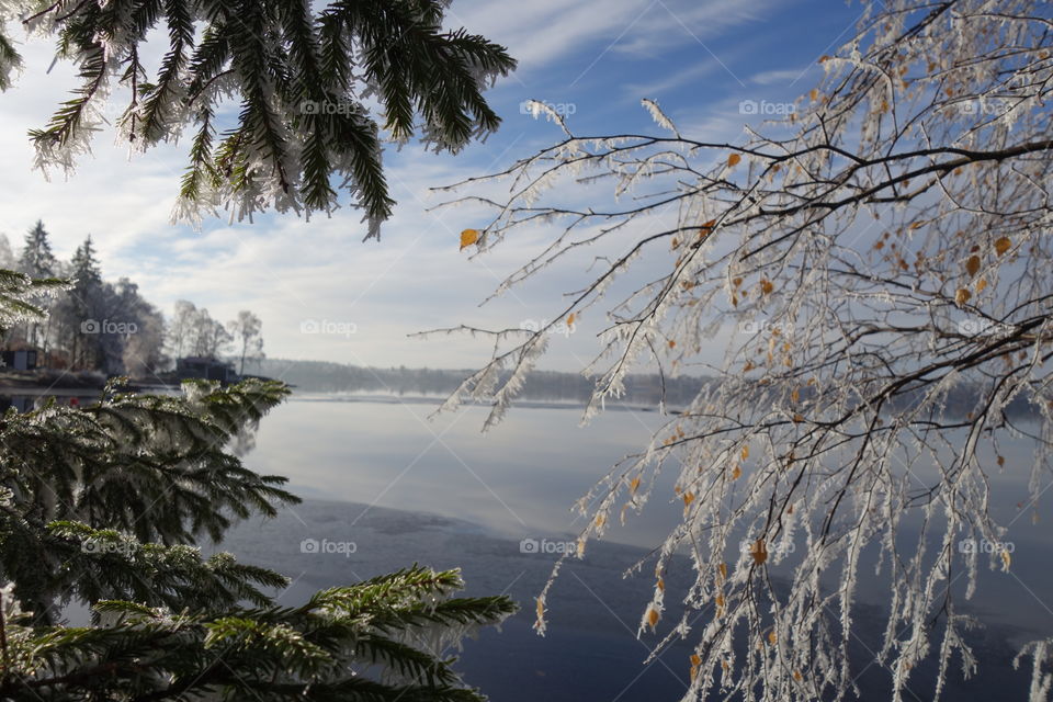 Scenic view of nature in winter