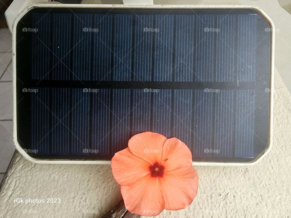 technology and nature