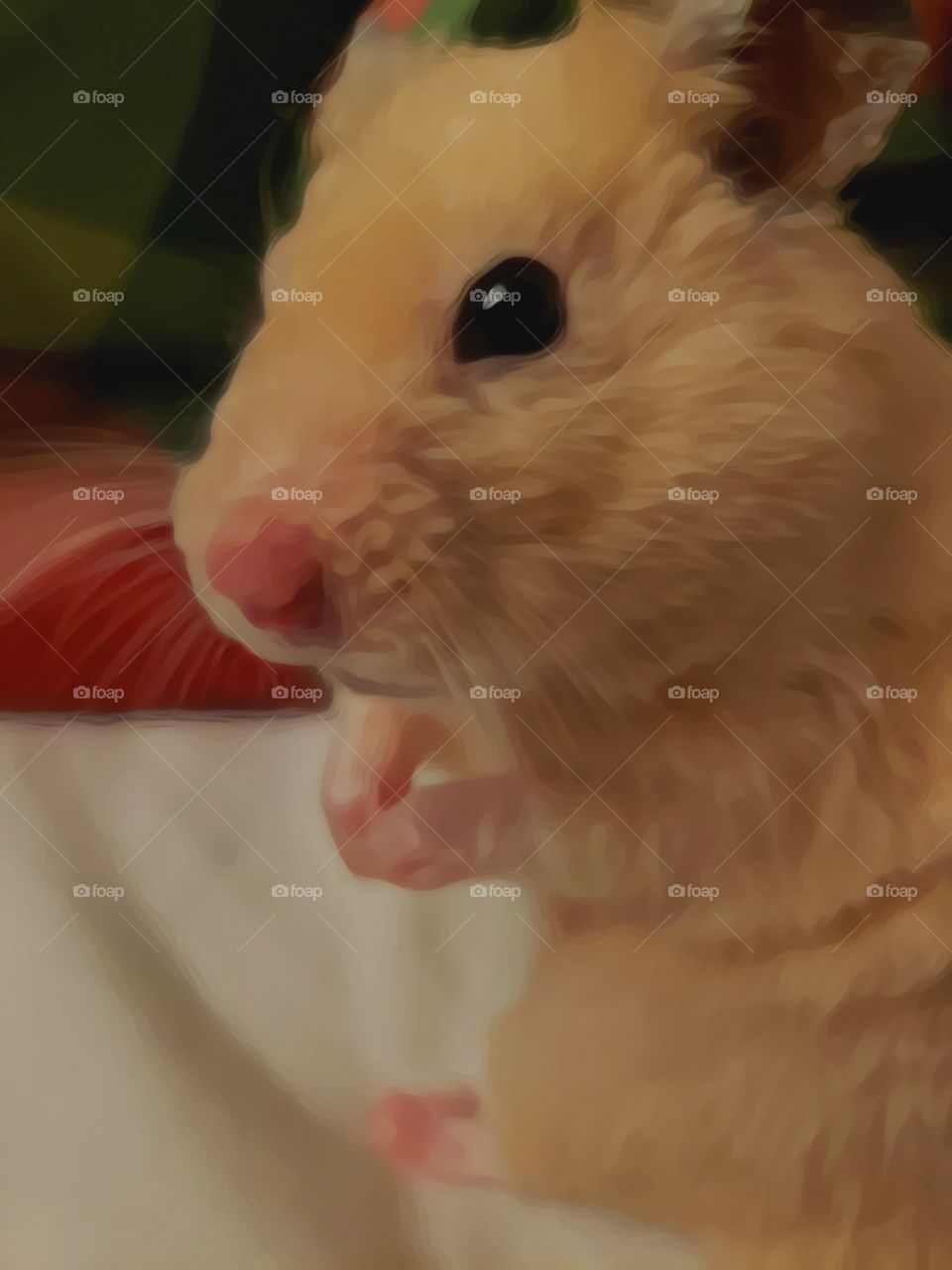 Meet Poggers the 🐹Hamster.