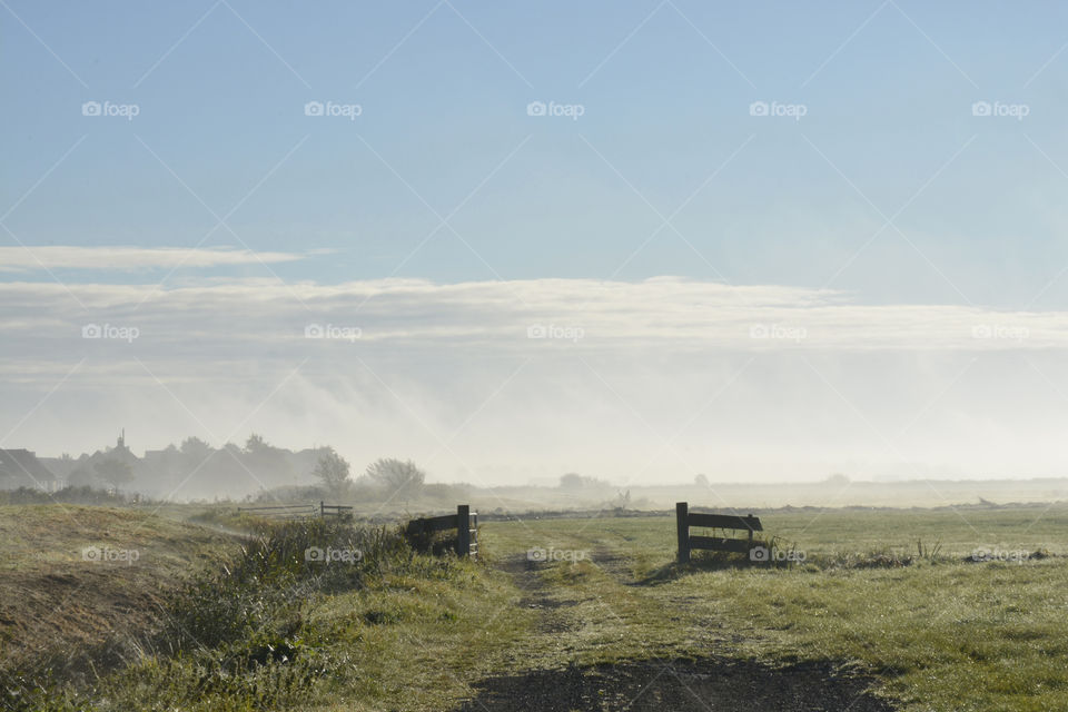 Landscape meadow in the foggy mist