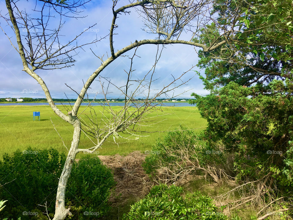 Salt marsh near Seagull Beach, West Yarmouth, Cape Cod