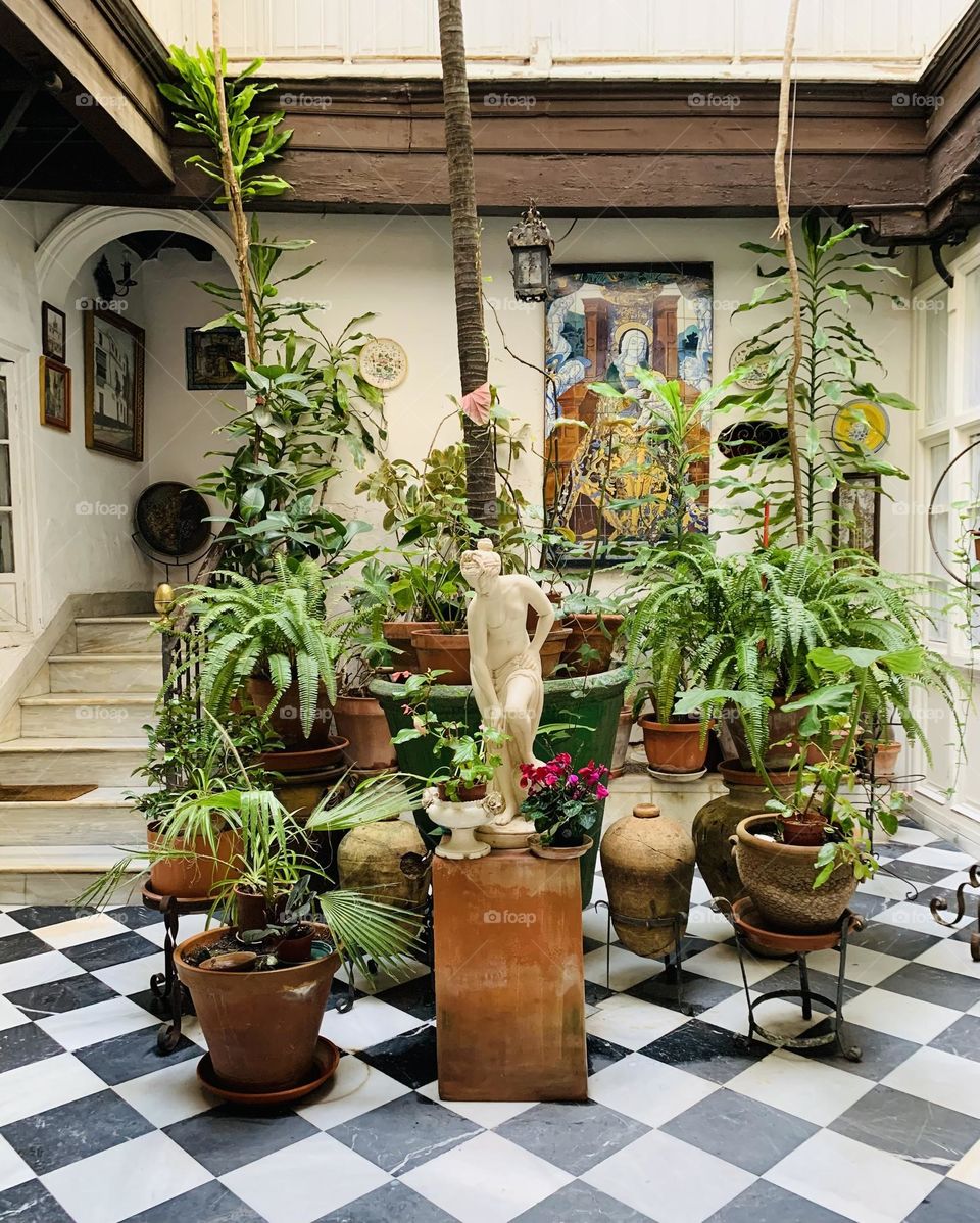 Various green plants inside a patio of a typical Sevillian house in Spain 