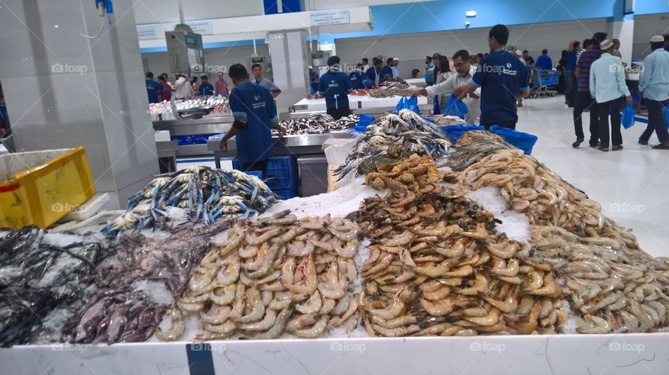 modern fish market in dubai