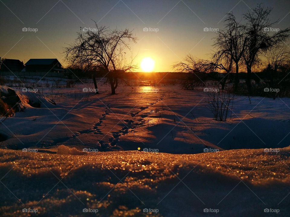 photo of snowy landskape at sunset. Snow reflects sunlight. Photo is in warm photos