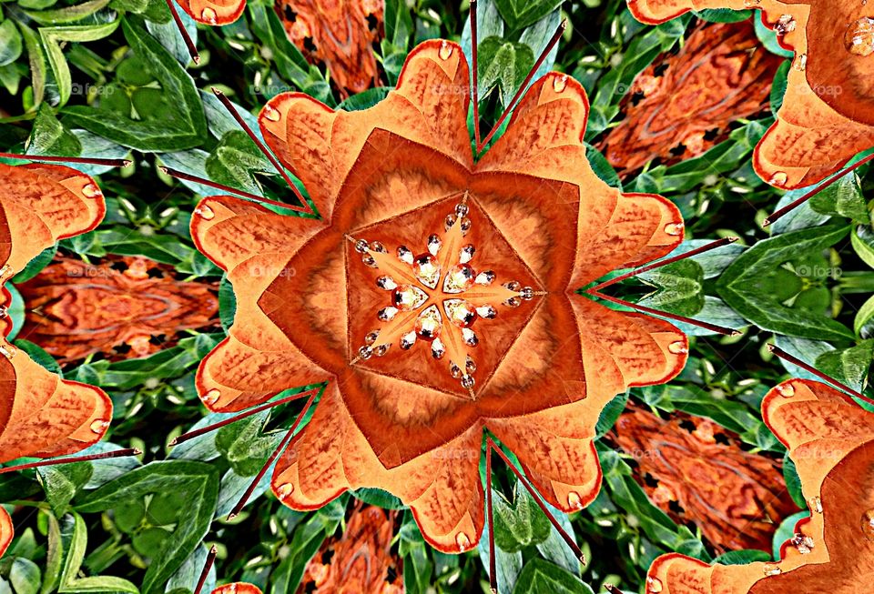 abstract nature art. Photograph nature. Water. A abstract photograph of a leaf with water drops.