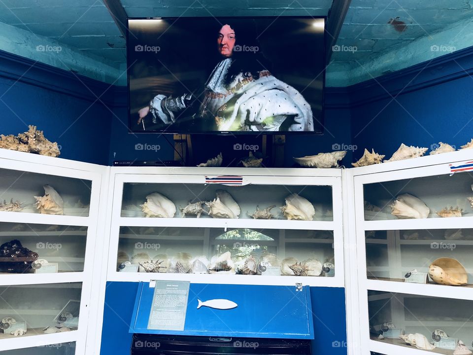Inside the shell house there lies a large display of sea shells, with a video explanation of their history, above the display cabinets.