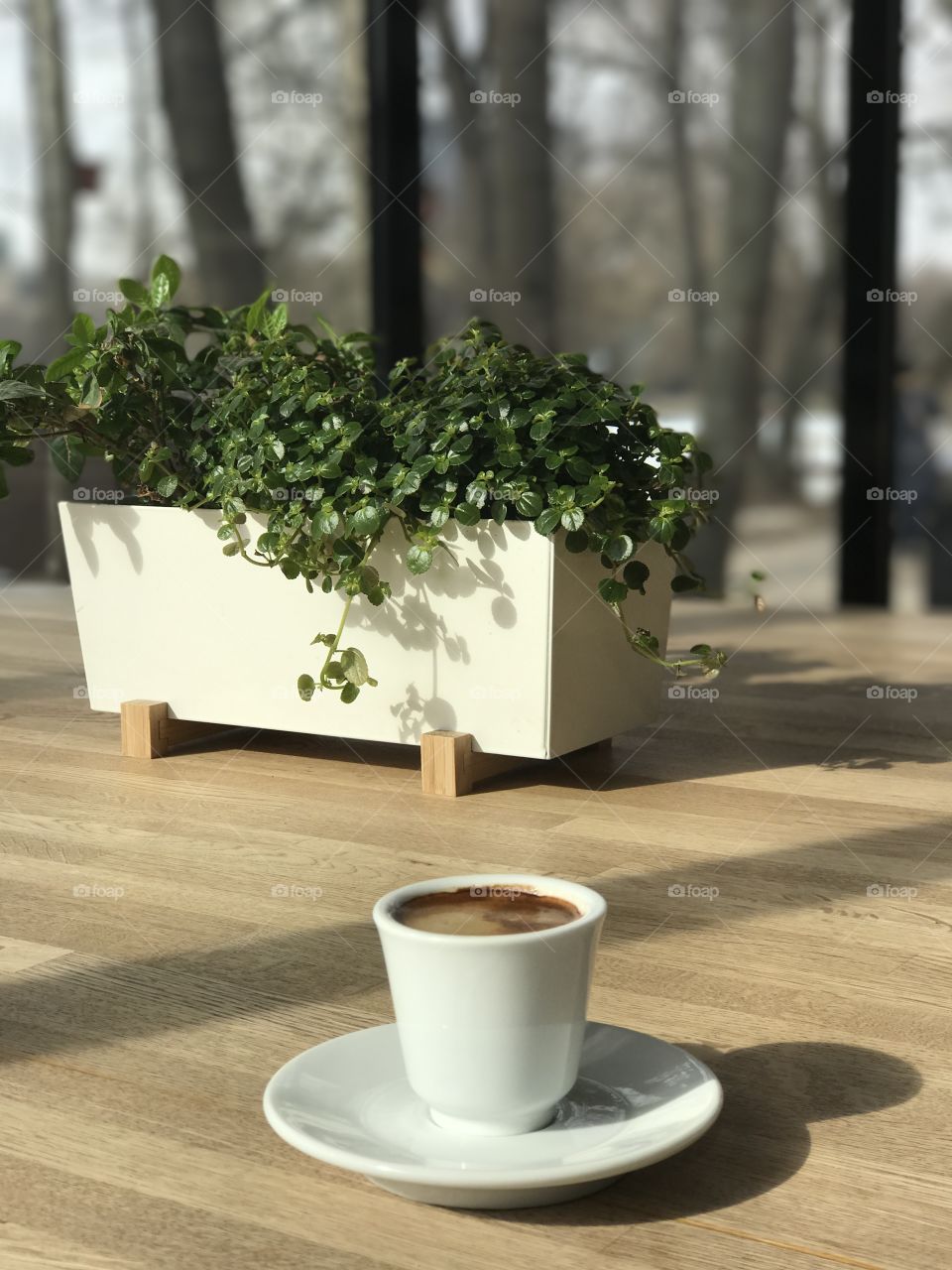 Tea cup near potted plant