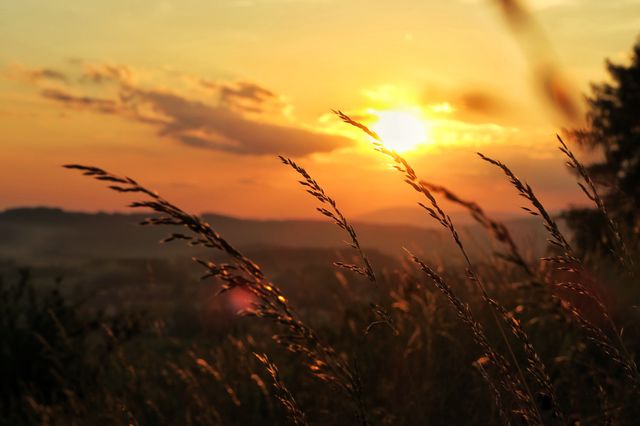 Fields of gold. Right at the very end of golden hours. Polish fields with Czech mountains in the background. 