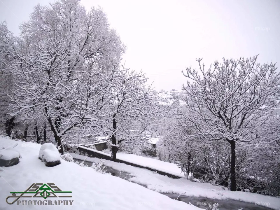 snow