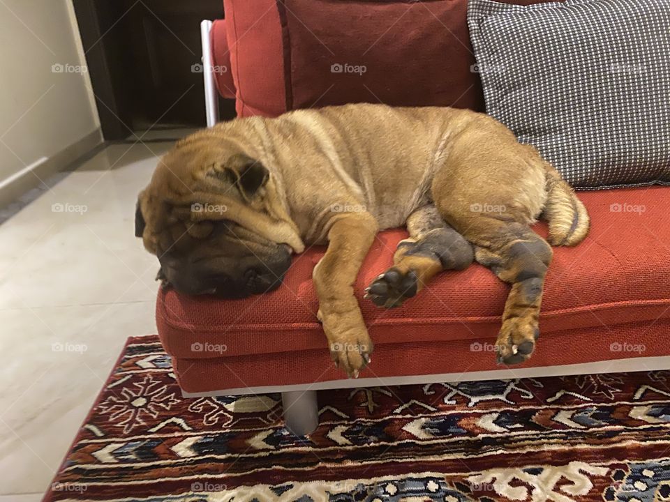 Sleeping on the edge 