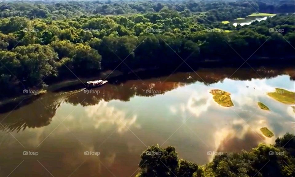 Pantanal, Brazil 