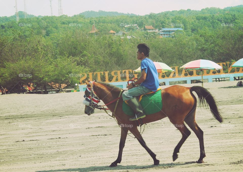 The speed of horse. 
Race in Parangtritis Beach, Bantul Yogyakarta.