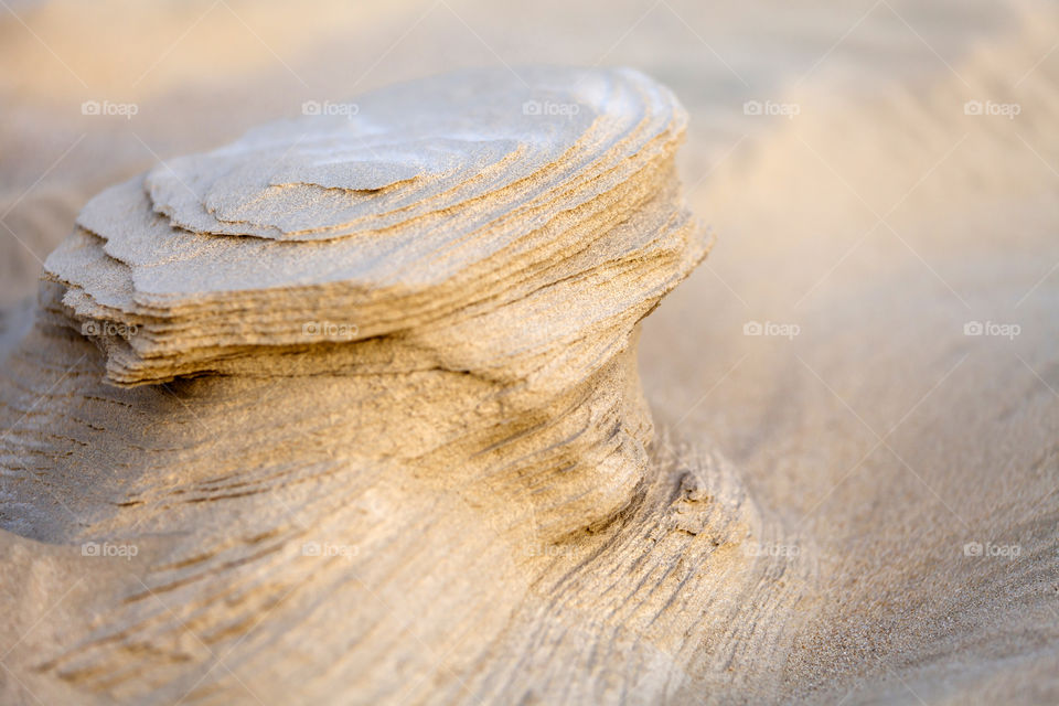 Fossil rocks - natural creation of sand, wind and time