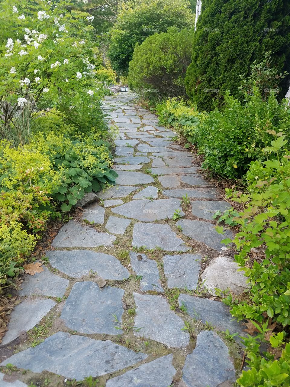 Rock garden walkway