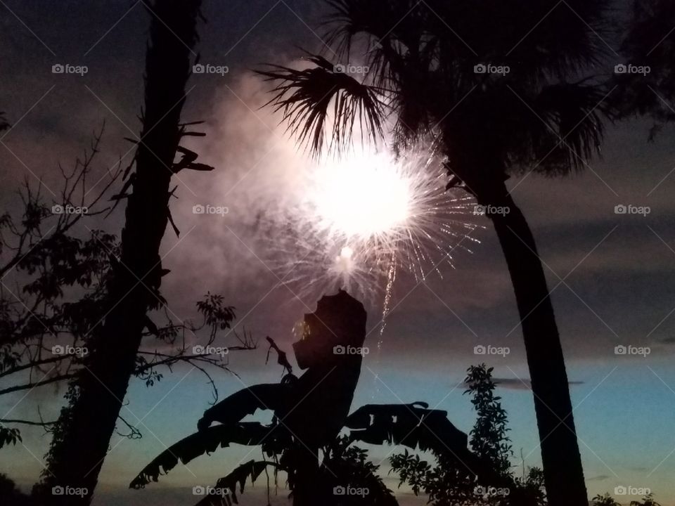 Fireworks most beautiful pic I have ever seen