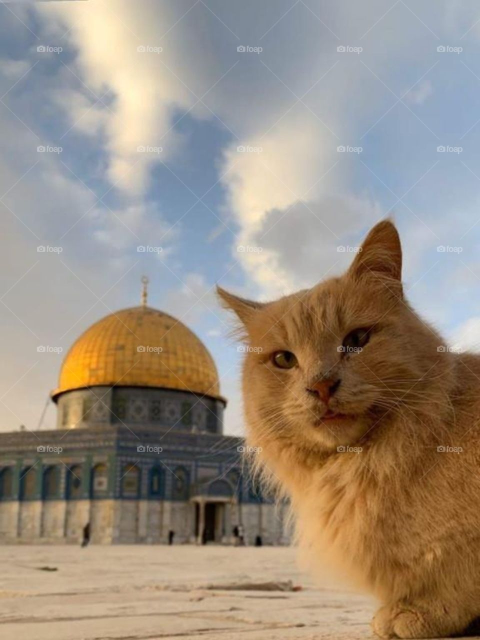 Jerusalem, Palestine