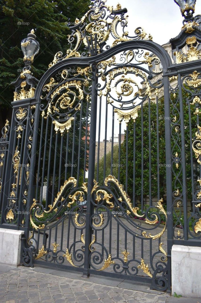 Ornate gate in Paris 