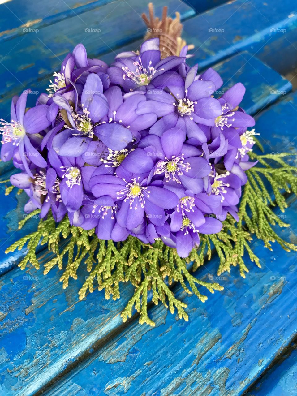 Bouquet of first spring flowers 