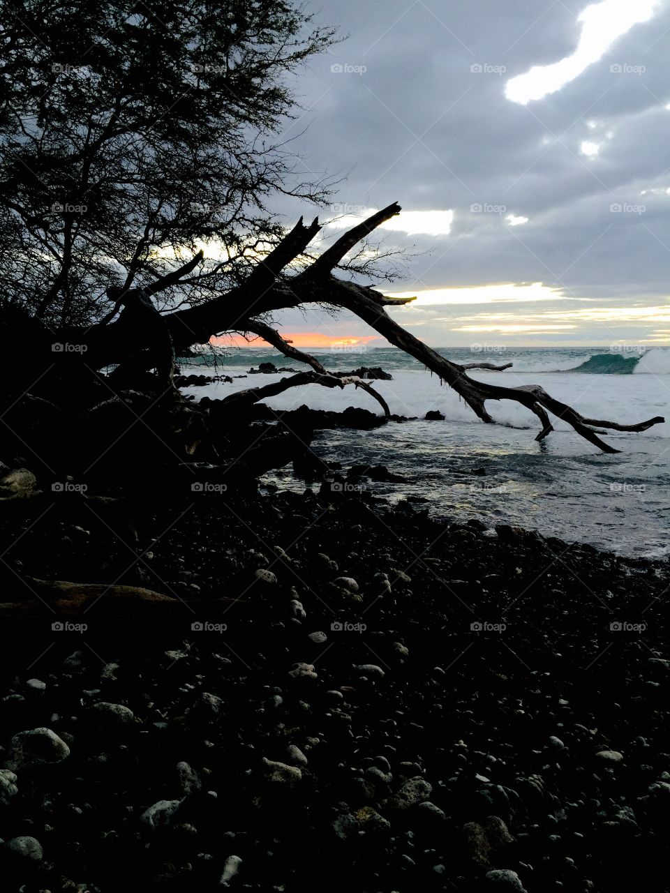 Sunset silhouette . A dramatic Hawaiian sunset. 