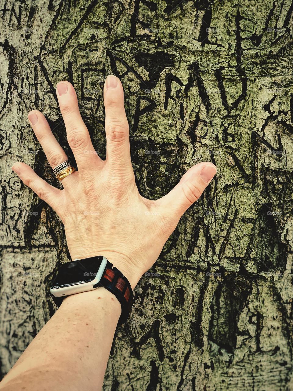 Woman feels the bark on a tree, carving graffiti into trees, not natural nature, hand touches rough bark of tree, woman’s hand in nature 