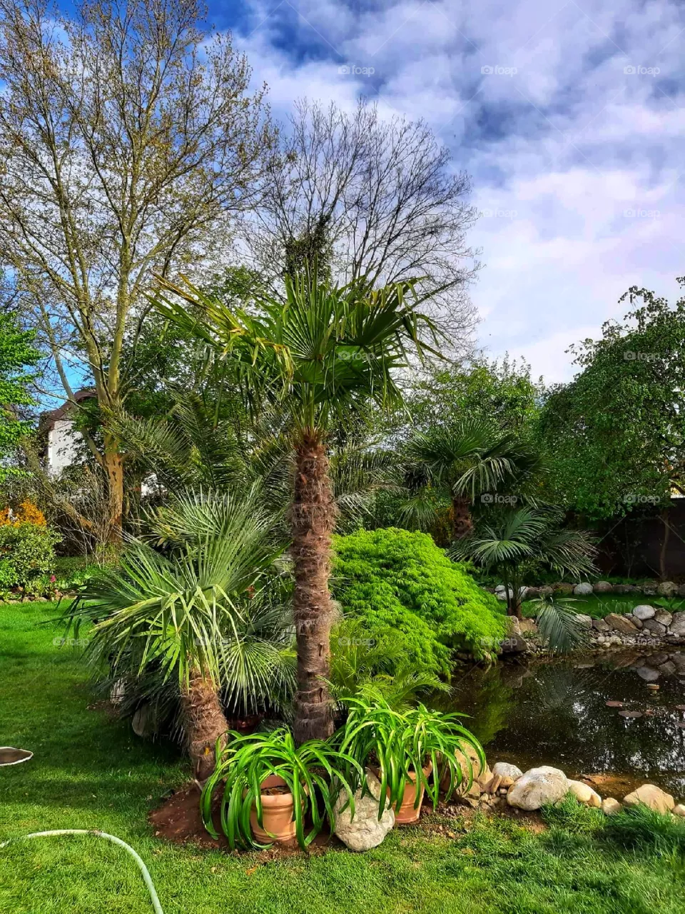 Green space around