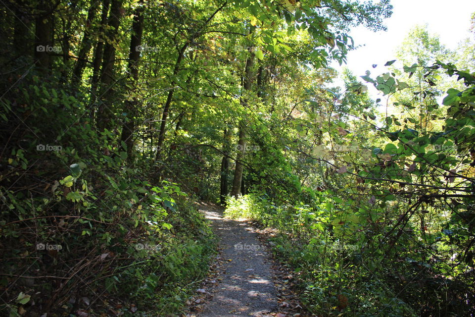 Nature Trail