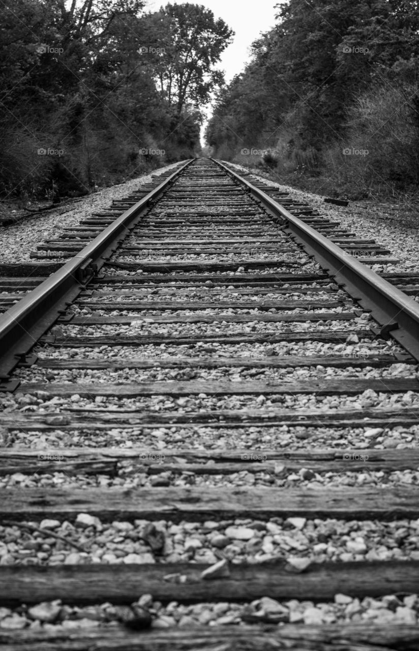 Railroad tracks in Indiana