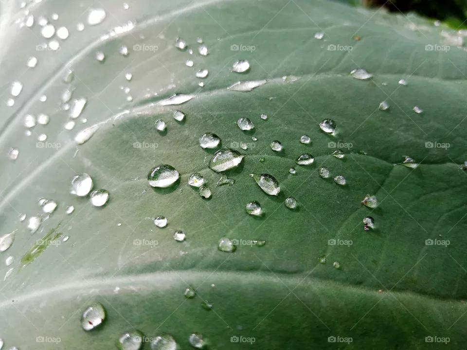 Water