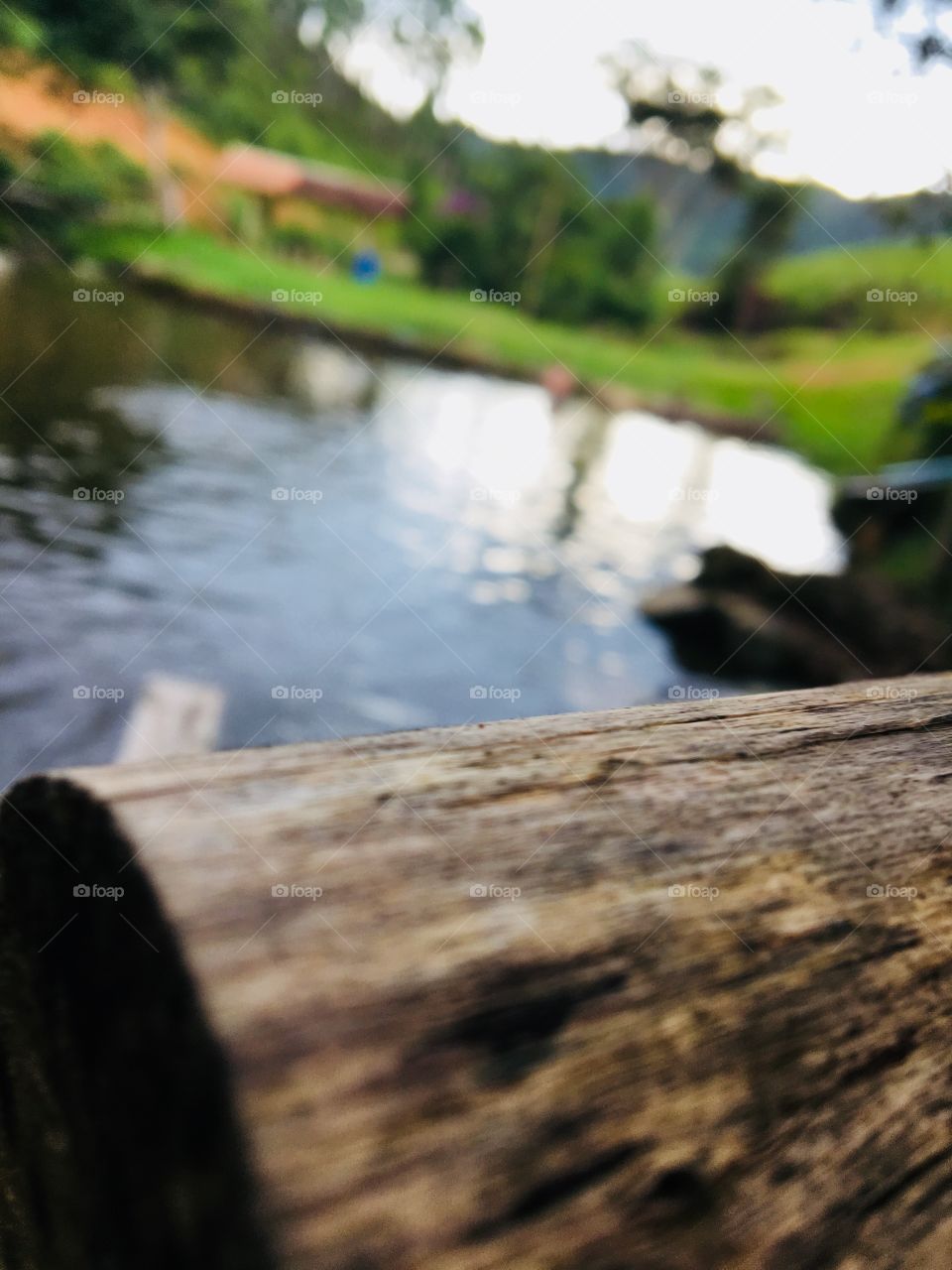 I’m with you miss you wish