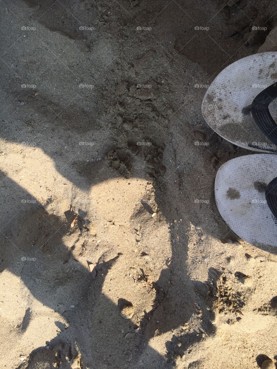 Sand, No Person, Soil, Beach, Dirty