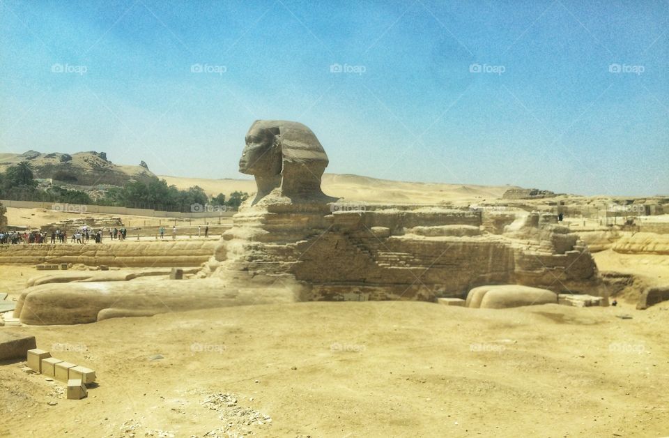 Sphinx - Egypt