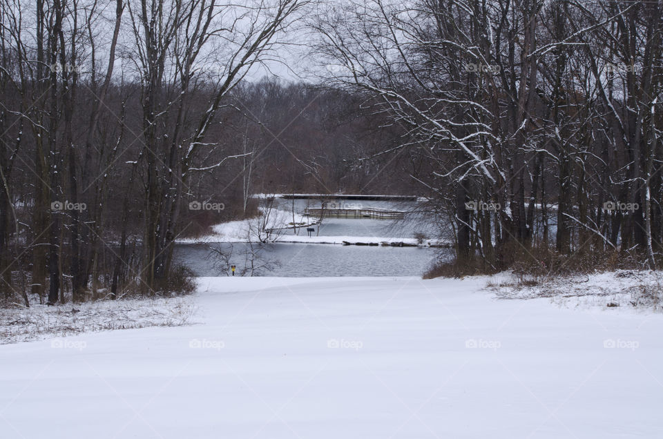 Little Turtle Pond in the Winter