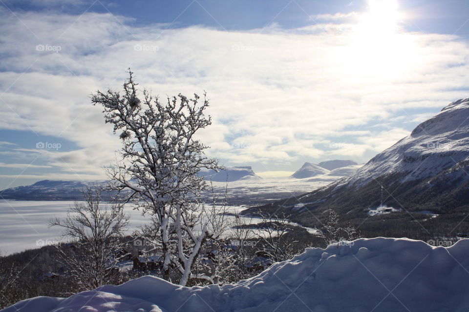 Snow covered trees at Lapporten