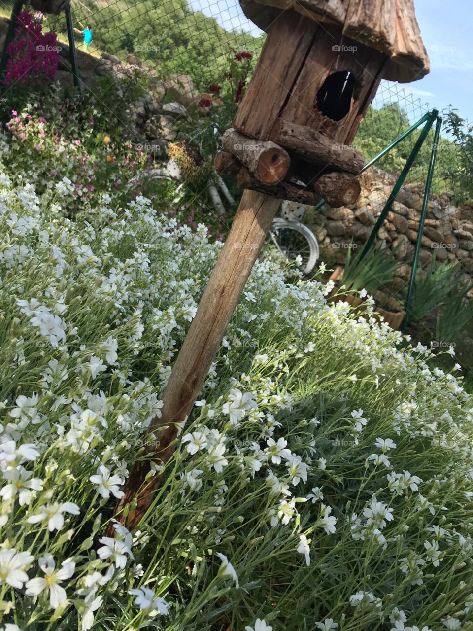 flores de mi jardín