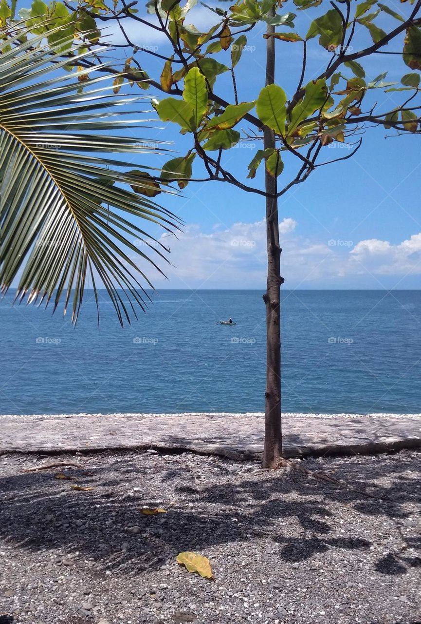 the sea in Liquiçá, a fisherman