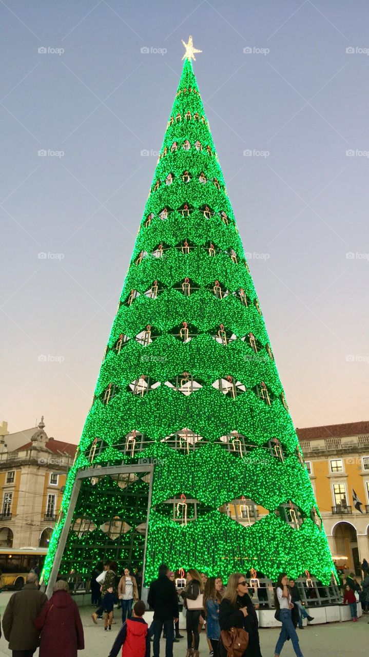 Big christmas tree 