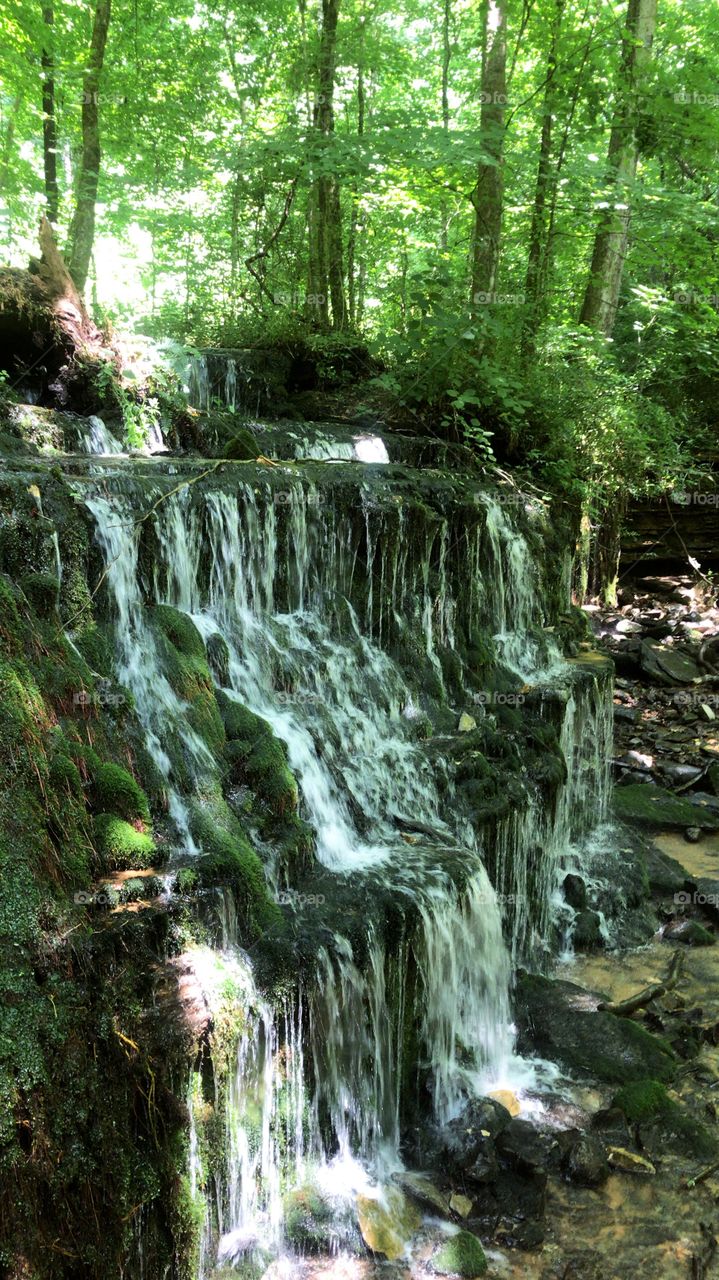 Waterfall in verdant green forest in Tennessee