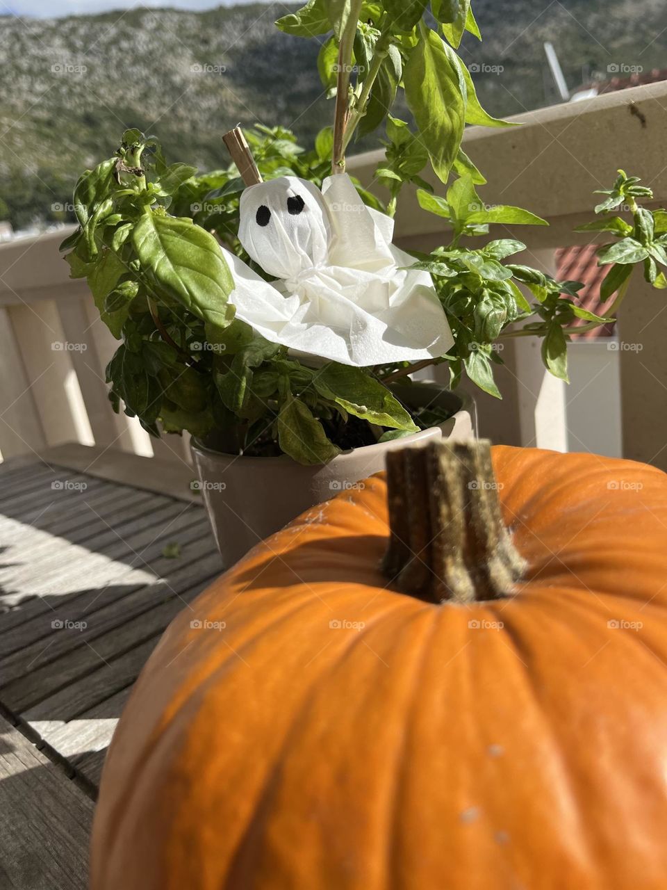 Pumpkin with a ghost in a plant.