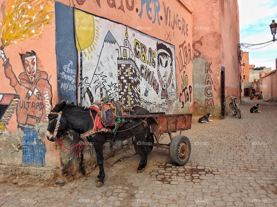 Streetlife in Morocco