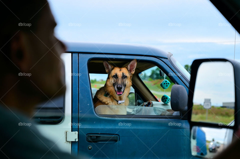 The long travel with her paw friend