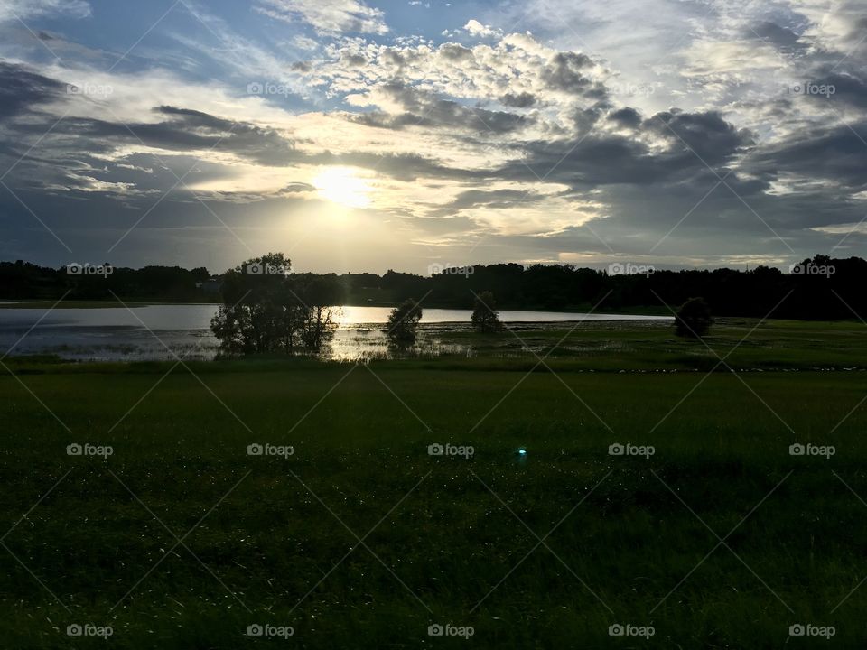 Trees underwater in a lake in Florida 