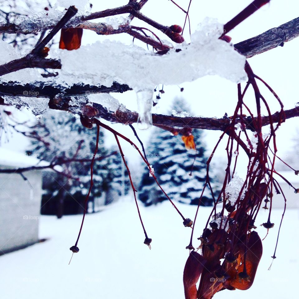 I don't want to die, I don't want to live a lie...