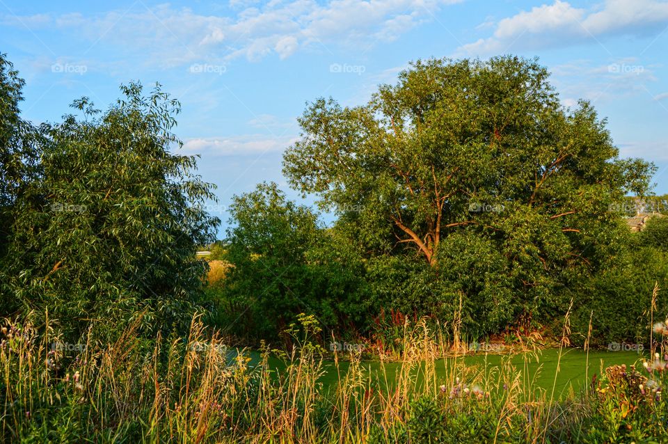 The nature of the native land